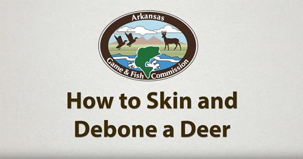 Outdoor Skills: How to Skin and Debone a Deer