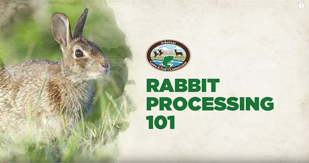 Outdoor Skills: Rabbit Processing 101
