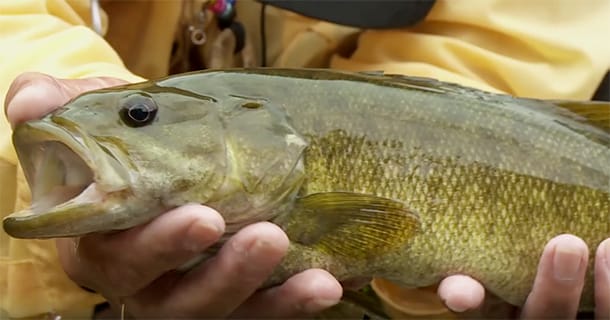 Scenic Spotlight: Crooked Creek and Smallmouth Fishing